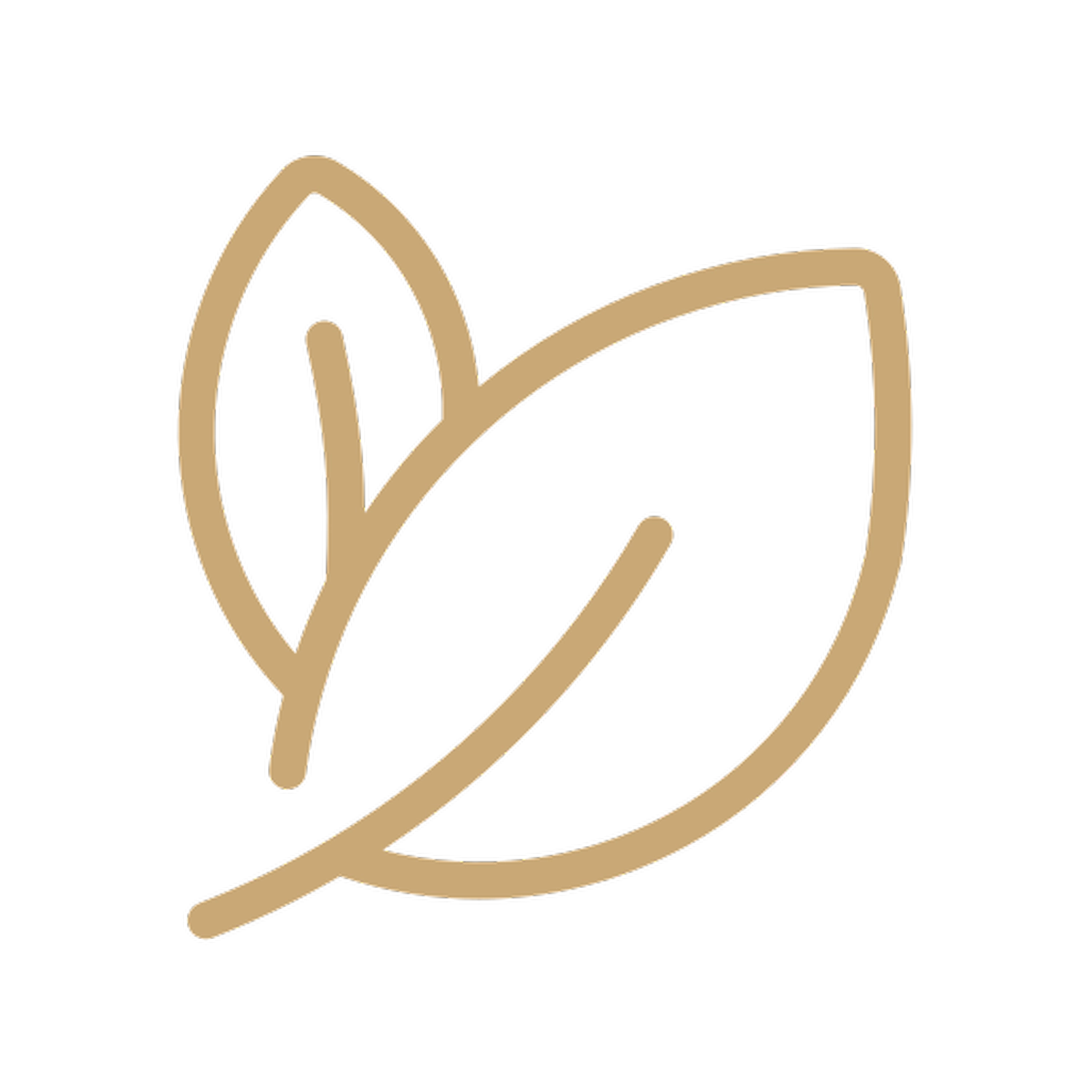 Grit Weigelt - Coaching - Symbol